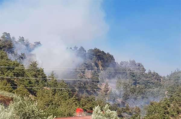 Orman yangınında 500 dönüm ormanlık alan zarar gördü