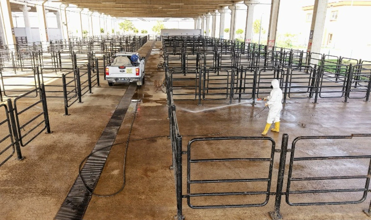 Büyükşehir’den Canlı Hayvan Pazarı’nda Halk Sağlığı İçin Kapsamlı Çalışma