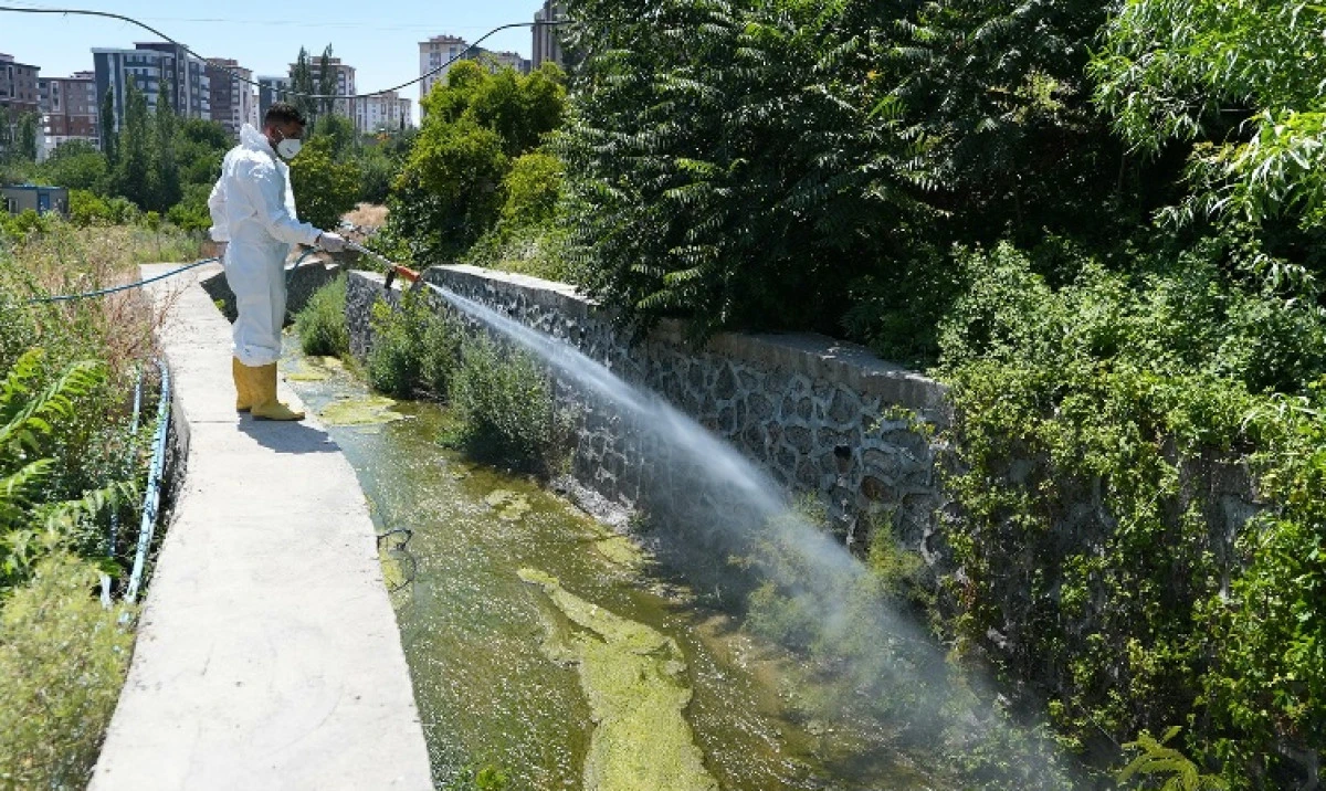B&uuml;y&uuml;kşehir&rsquo;den Sivrisinek ve Haşerelere Karşı Etkin M&uuml;cadele