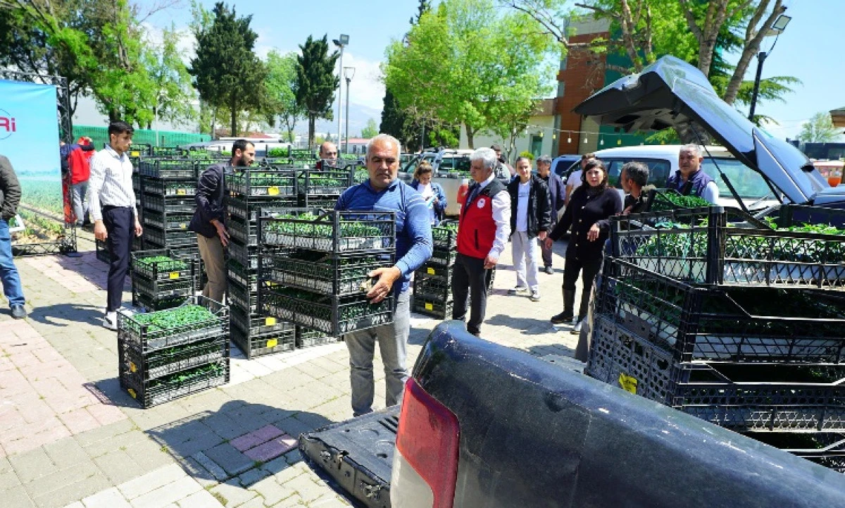 B&uuml;y&uuml;kşehir&rsquo;den &Uuml;reticiye 650 Bin Hibe Biber Fidesi