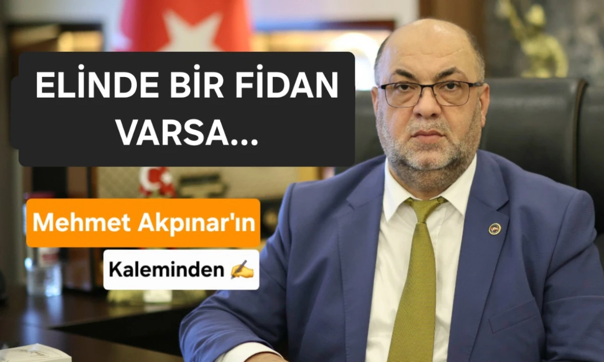 ELİNDE BİR FİDAN VARSA&hellip;