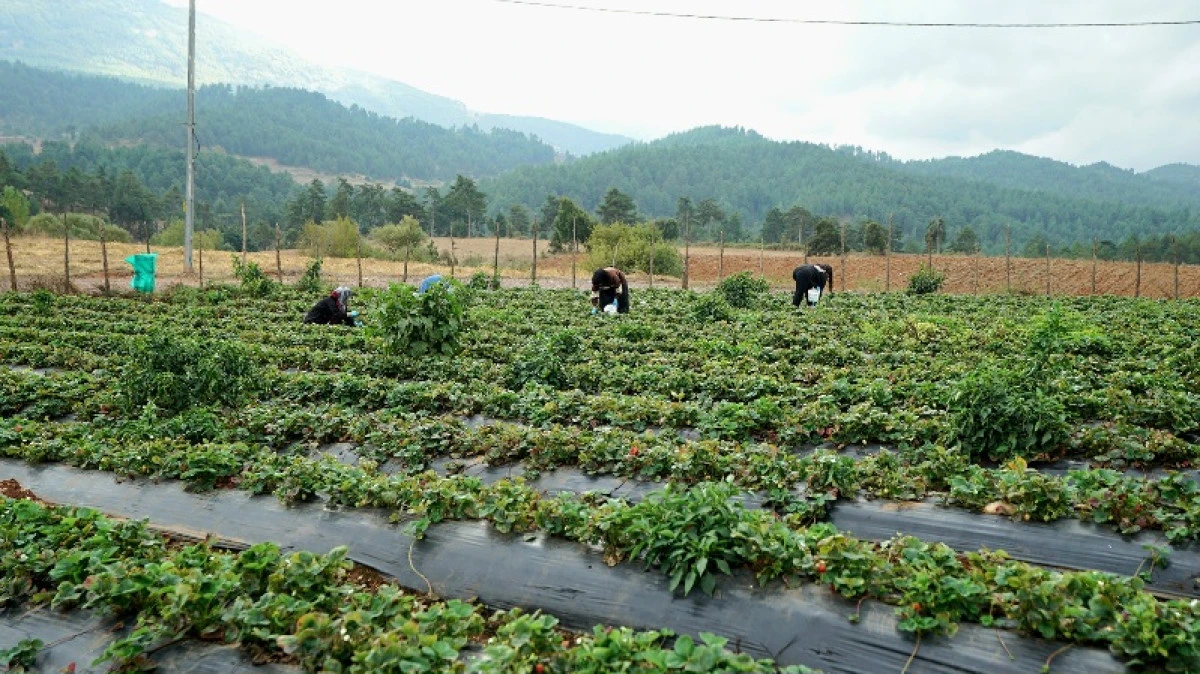 Kadınların Emeği &ldquo;Kahraman Kadın&rdquo; Platformu ile Daha Geniş Kitlelere Ulaşıyor