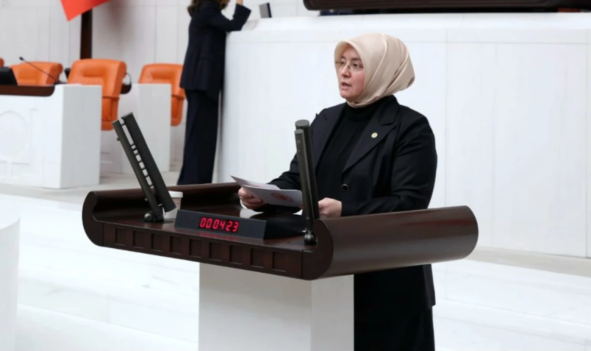 Kahramanmaraş&rsquo;ın İstiklal Madalyası Gururu 101. Yılı