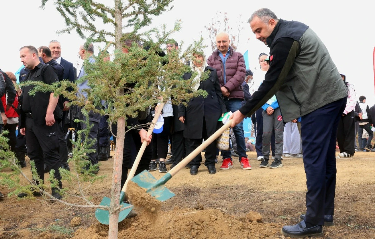 Onikişubat Belediyesi, Milli Ağaçlandırma Günü’nde yangından etkilenen alanları yeniden yeşertti
